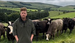 Cattle systems for the future